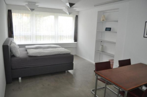 Loft AR